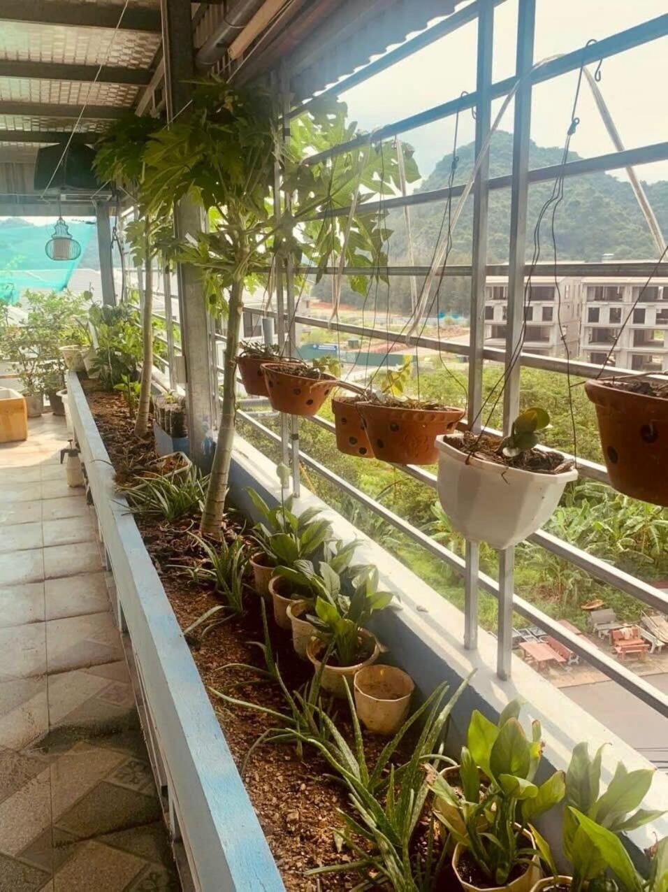 Thu Thuy Hotel Chan Chau 外观 照片